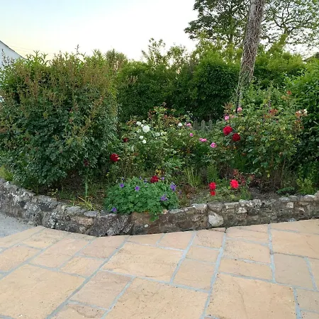 Rose Bee Happy Anex Δωμάτια σε οικογενειακή κατοικία New Quay